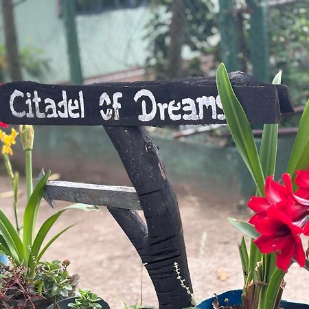 דירות Citadel Of Dreams אלה מראה חיצוני תמונה