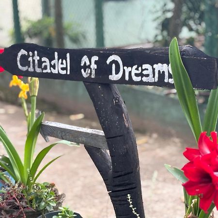 דירות Citadel Of Dreams אלה מראה חיצוני תמונה
