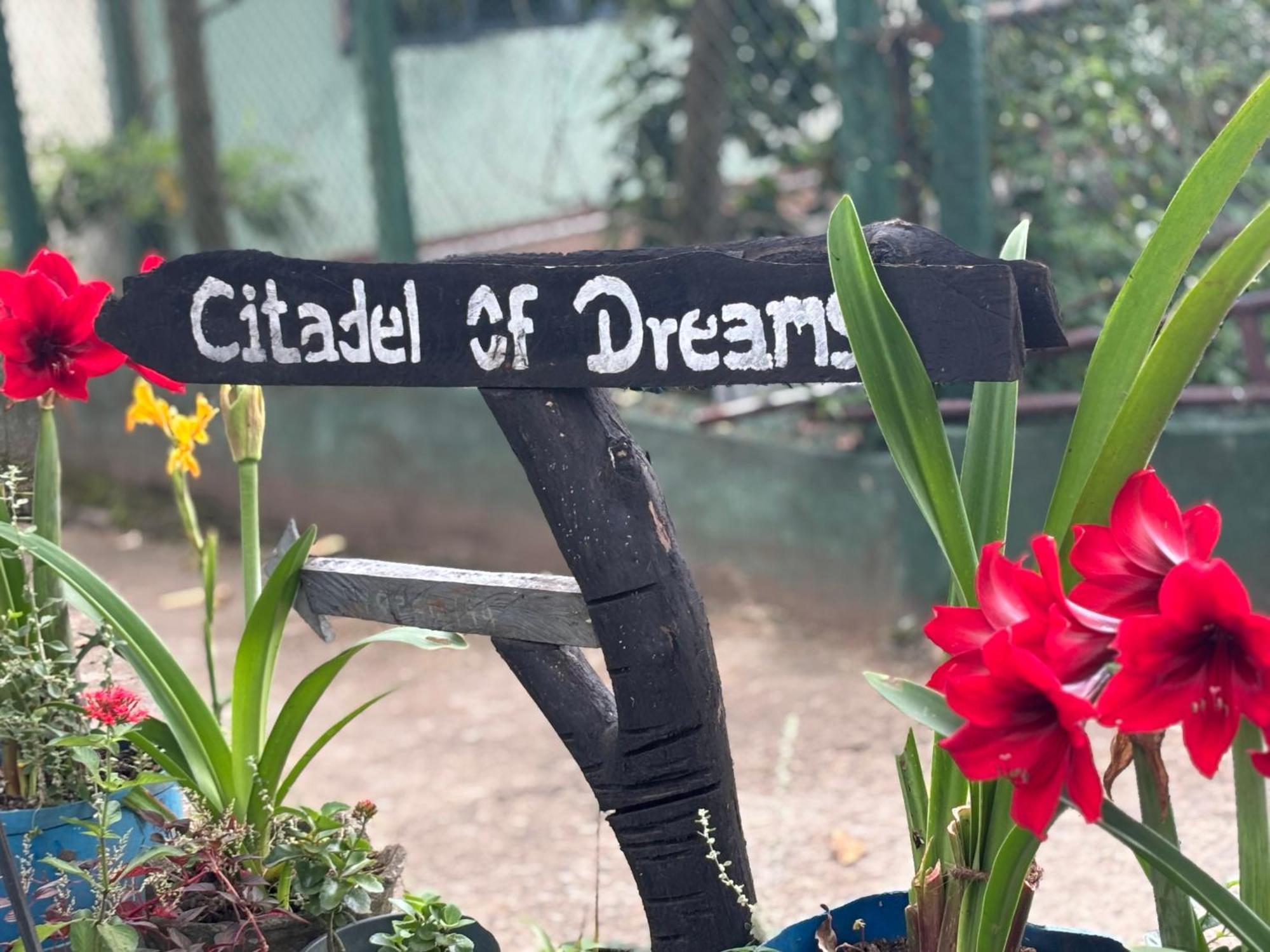 דירות Citadel Of Dreams אלה מראה חיצוני תמונה